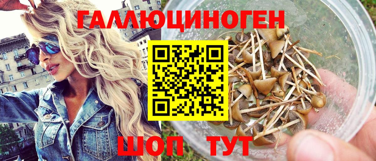 Галлюциногенные грибы Psilocybine cubensis  Вход с VPN  Набережные Челны 