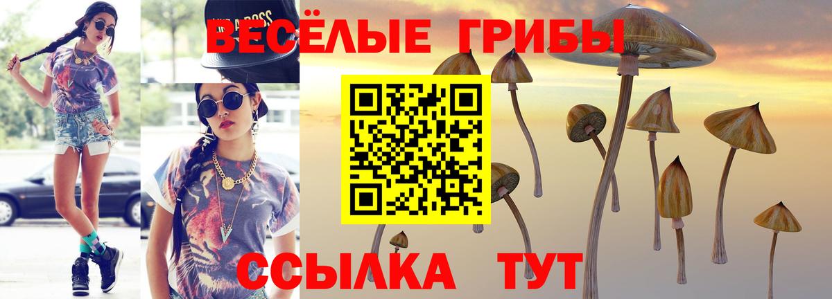 Псилоцибиновые грибы Cubensis Набережные Челны
